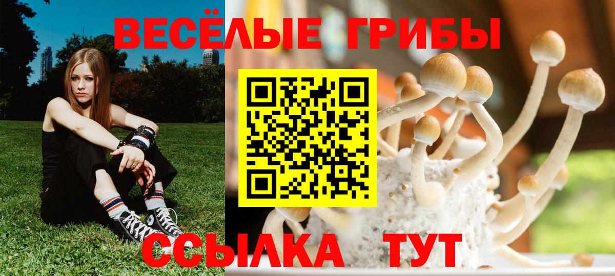 Псилоцибиновые грибы Psilocybine cubensis Екатеринбург